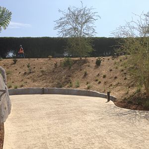 Foliage View Toward Bus Road 2