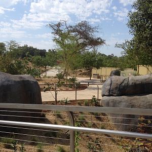 On Path Around Kopje Looking Back At 4th Turn