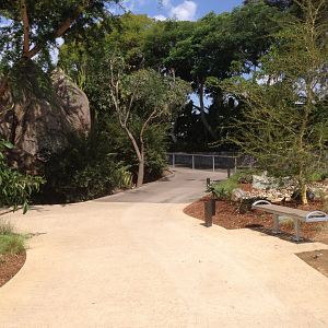 Path Around Kopje - Kopje On Left