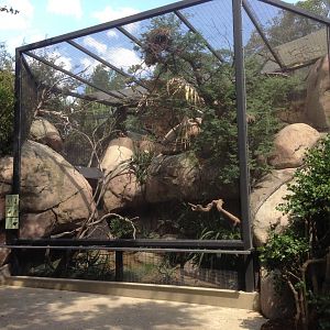 Koje Internal Aviary