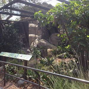 Kopje External Aviary