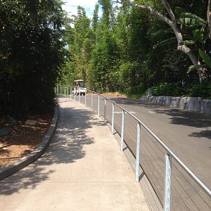 Path To Kopje Aviary And Meerkats