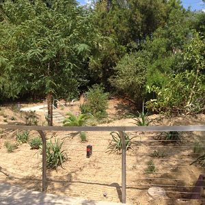 Possible Keeper Access To Eagle