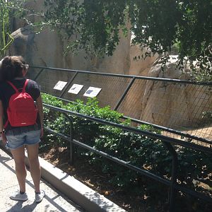 Kopje Viewing Facing School