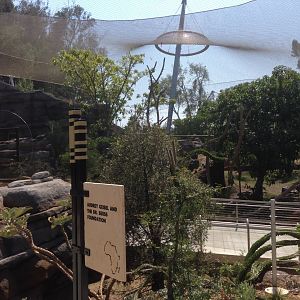 Lemur 1 From Lemur 2 Path