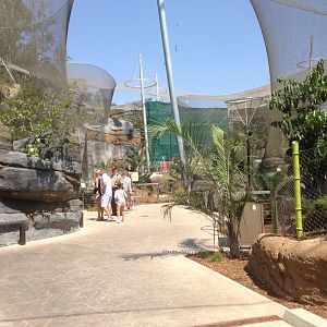 Entrance To Madagascar