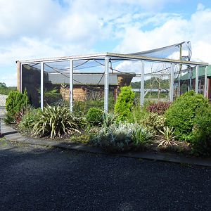 Emperor tamarin enclosure 010817