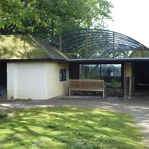 Snow leopard enclosure with walkthrough tunnel 010817
