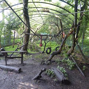 Mixed lemur enclosure 01/08/17