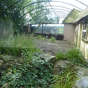 Snow leopard enclosure 010817