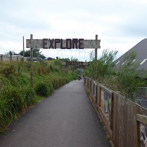 Path to entrance 020817