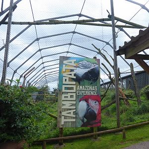Tambopata Amazonas Experience 020817