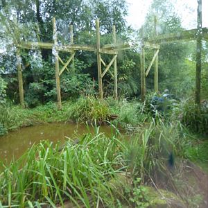 Giant otter enclosure 020817