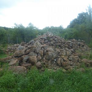 Snow leopard enclosure 020817
