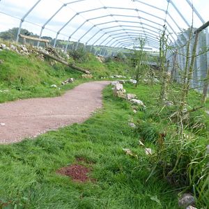 Walkthrough vulture aviary 020817