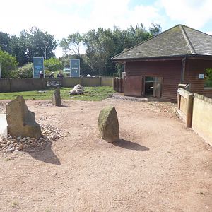 Tortoise enclosure 040817