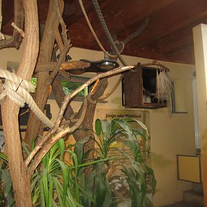 Rostock Zoo - Crocodile hall - Sloth area