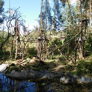 Woolly Monkeys enclosure