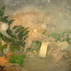 Rostock Zoo - Snow leopard rocks - Gerbil exhibit