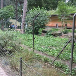 Rostock Zoo - Cheetah exhibit