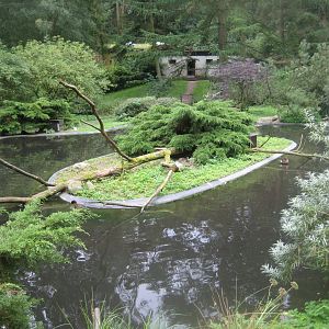 Rostock Zoo - South American duck exhibit