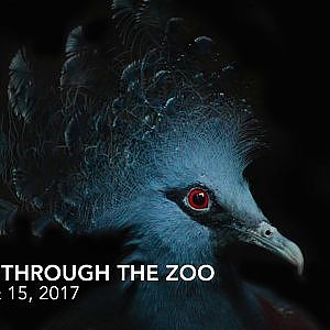 Full Wings of the World Walkthrough