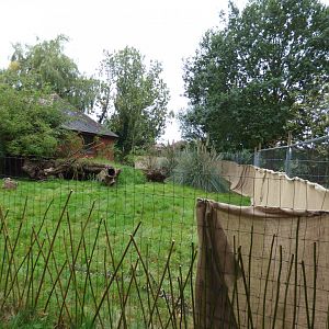 Dusky Pandemelon Enclosure