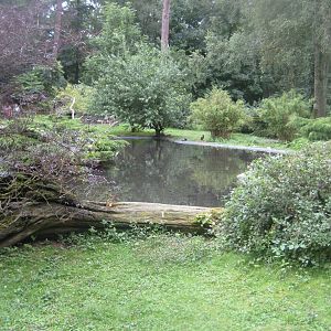 Rostock Zoo - South American duck exhibit