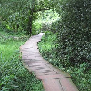 Rostock Zoo - South American duck exhibit