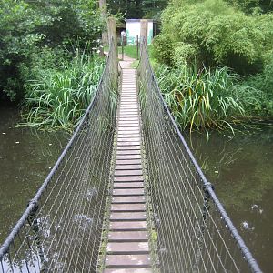 Rostock Zoo - South American duck exhibit