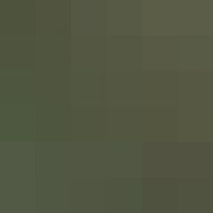 Rough Area of Walkaround