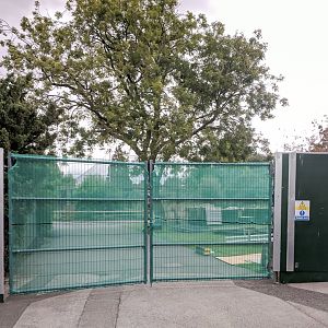 Something BIG is Happening