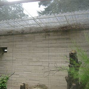 Rostock Zoo - Bird/reptile house - Cuba aviary