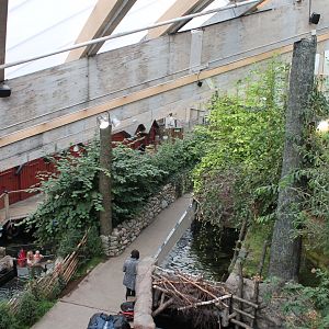 General view of Water's Way exhibit