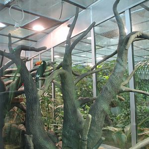Sloth/Toucan enclosure