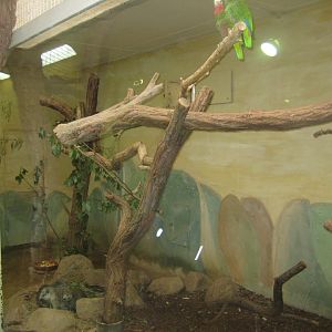 Rostock Zoo - Bird/reptile house - Cuba aviary
