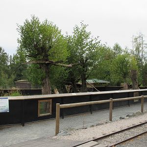 Red Panda Exhibit - New in 2015