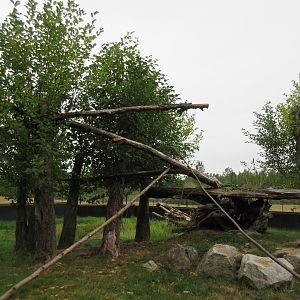 Red Panda Exhibit - New in 2015