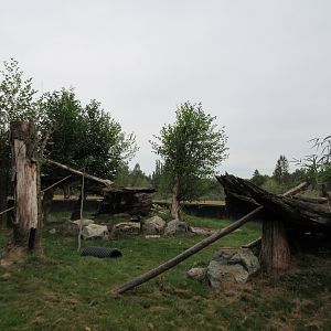 Red Panda Exhibit - New in 2015