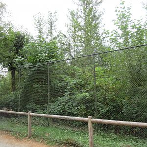 Grizzly Bear Exhibit (side view) - see the bear?