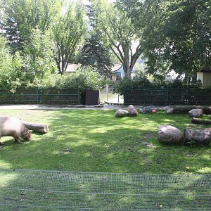 Capybara Exhibit
