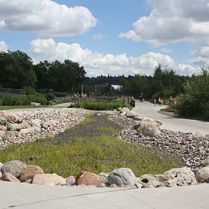 The Wander - New in 2014