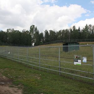 West Caucasian Tur Exhibit