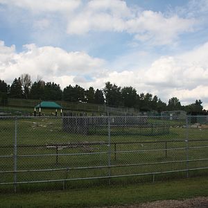 Sichuan Takin Exhibit