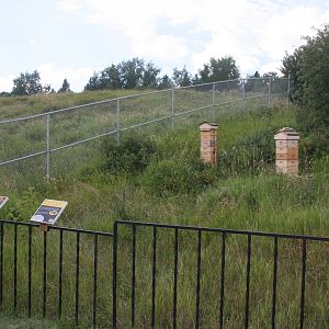 Bee Hives