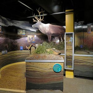 Aquatic Alberta Gallery