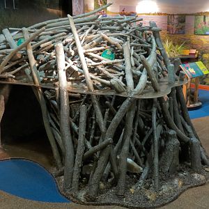 Aquatic Alberta Gallery