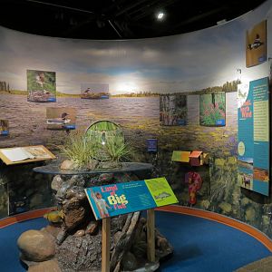Aquatic Alberta Gallery