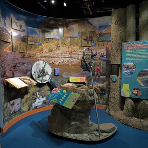 Aquatic Alberta Gallery