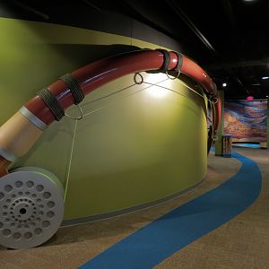 Fish Forever Gallery